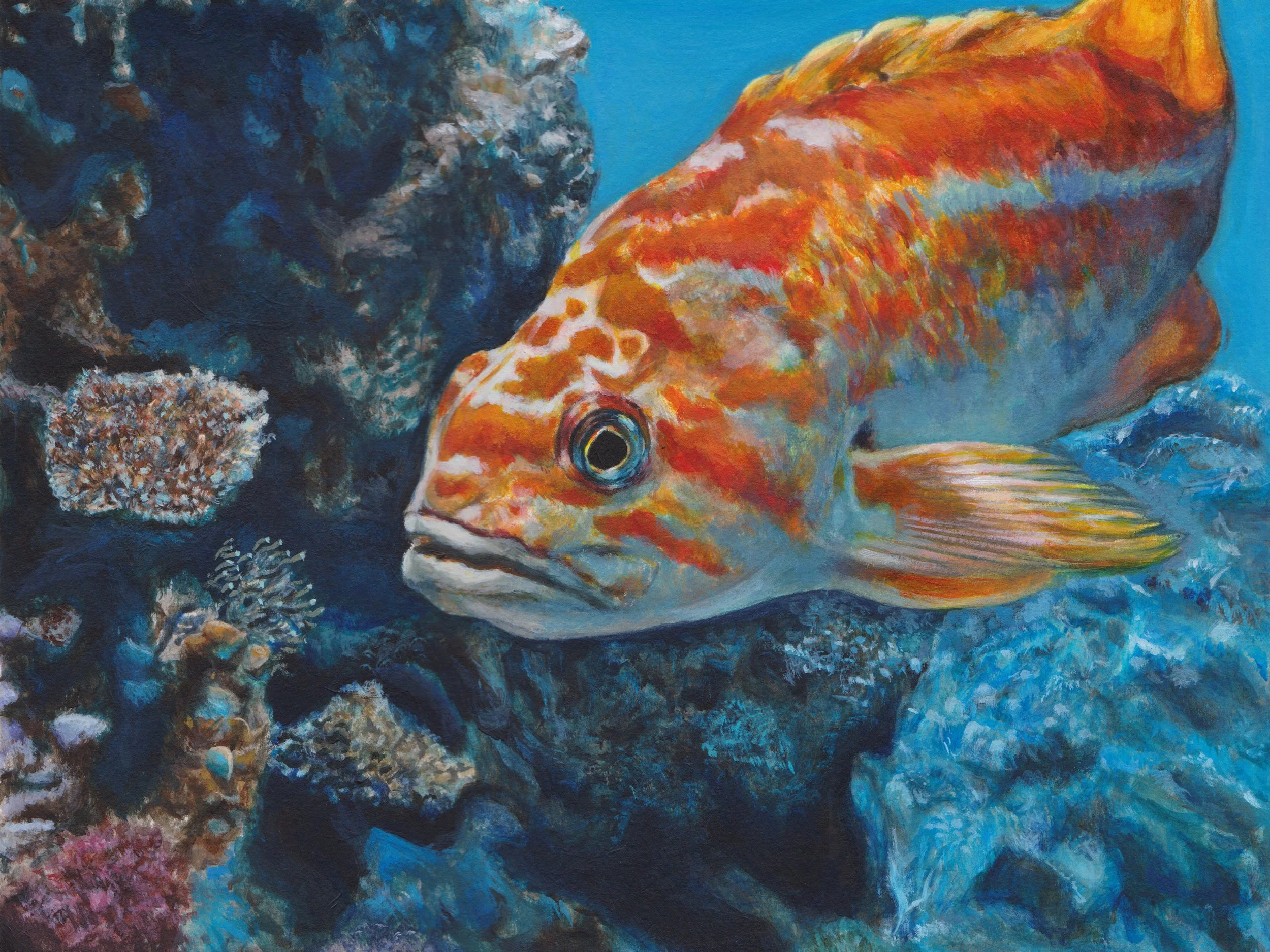 現代アート オオヤサヤカ Red orange fish コラージュアート One